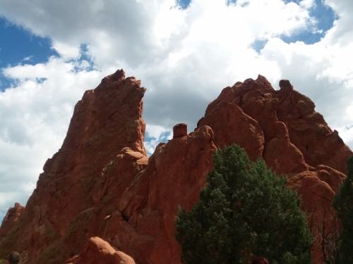 child-of-the-renaissance:Garden of the Gods