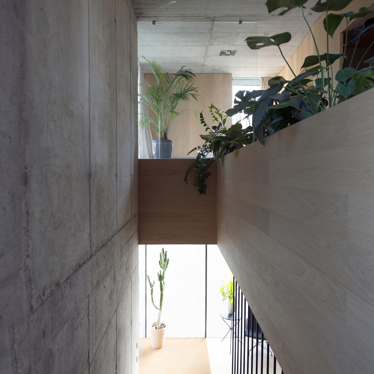 odaro:  villa criss-cross envelope / OFIS architects