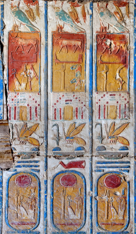 dwellerinthelibrary:The irresistably brilliant colours of the titulary of Ramesses II at Abydos.Phot