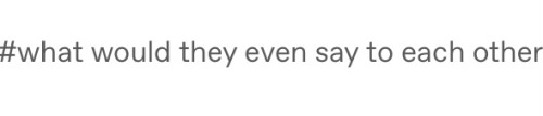 A screenshot of a Tumblr tag reading “what would they even say to each other”