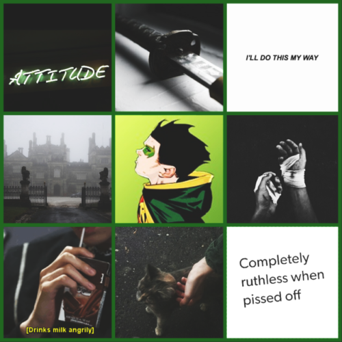 lxstpxtter:Bored again, so: The BatFamily!If you like this please reblog, y'know, you only have to p