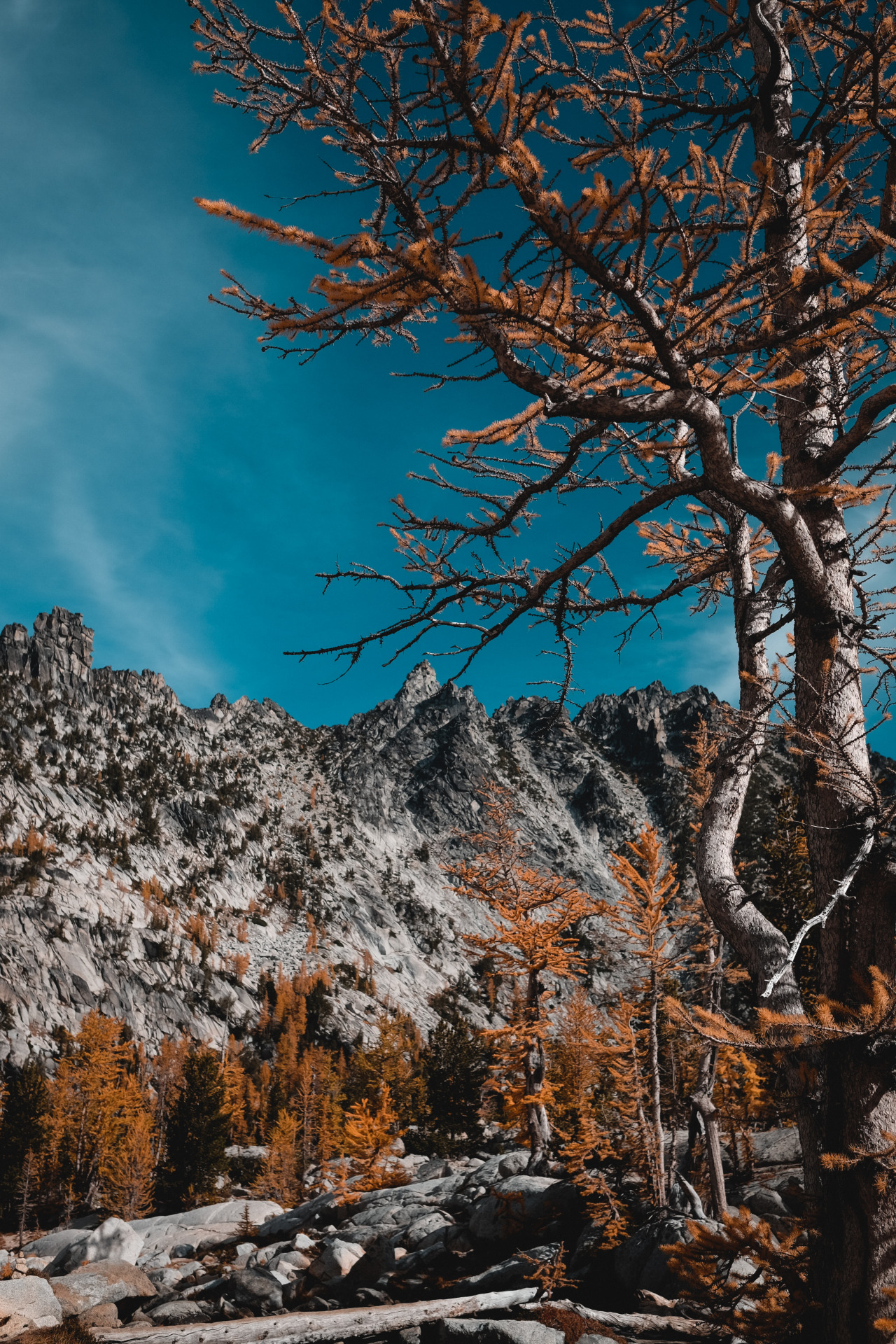 workofdre:  enchantments. 
