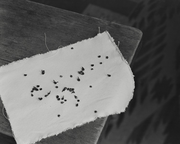 ericmarth:  Very pleased to discover the work of Allison Barnes this morning.  