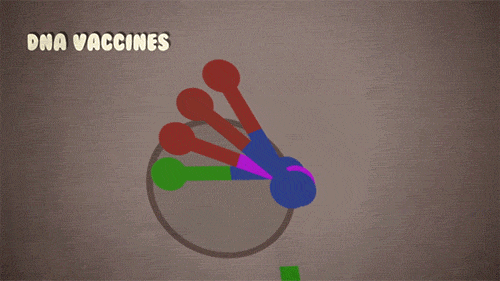 How do vaccines work?