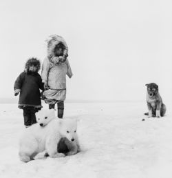 fotojournalismus:  Wainwright, Alaska, 1955.Photo