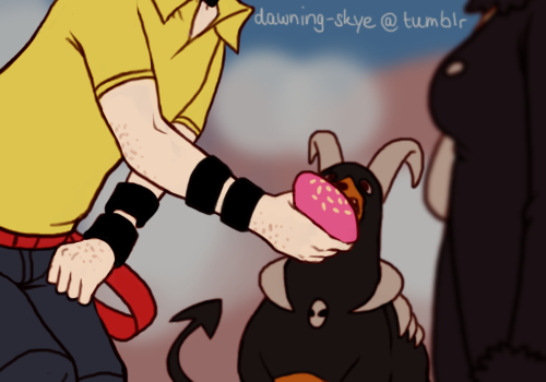 dawning-skye:the sinnoh league is a gift to mankind (x)