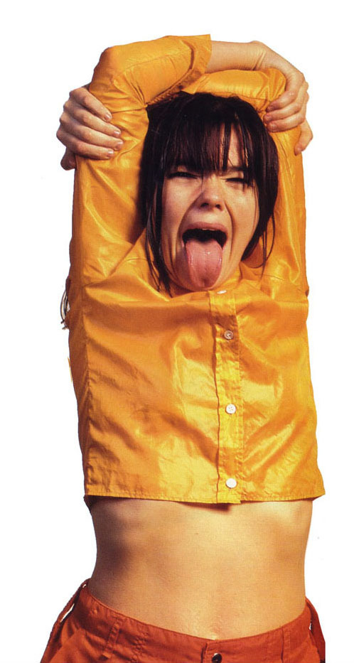 warmthestcord:Björk by Ken Sharp