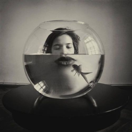 inneroptics:    Maria Frodl  