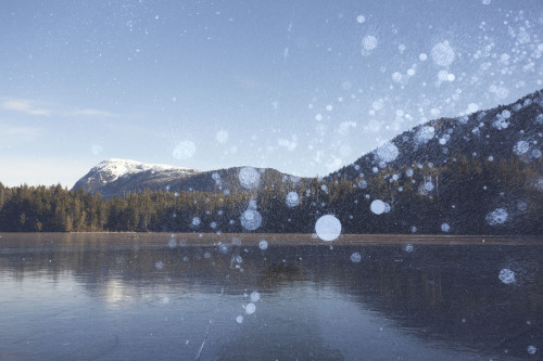 Canon 6D double exposure at Taylor Lake, Northern BC.Haley Crozier@stolenfootprints