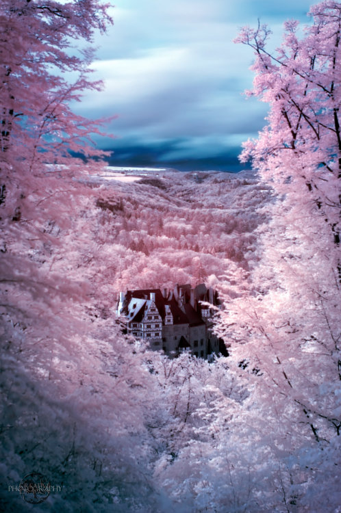 source | 1 | 2 | 3 | 4 | 5 | 6 | 7 | 8 | MY TUMBLR BLOG | immortal infrared. The most beautiful infr
