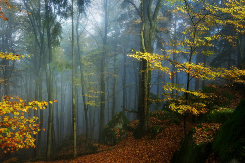 90377:Beautiful Autumn by BphotoR