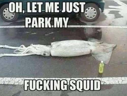 the-absolute-funniest-posts:  This post has been featured on a 1000notes.com blog.