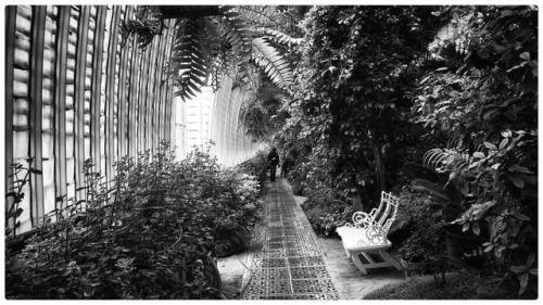 Lednice Castle. The Palm House. . . . #blackandwhitephotograph #blackandwhitephotography #czechrepub