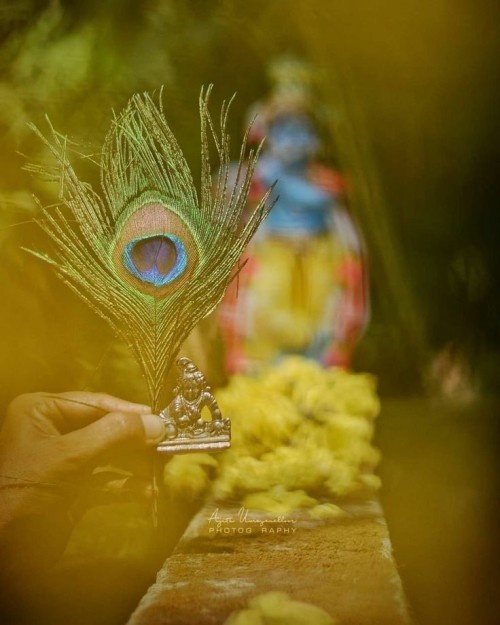 नंद घर आनंद भयो जय कन्हैया लाल की