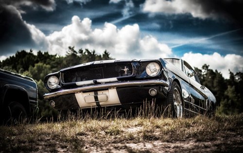 Muscle Car Instant
