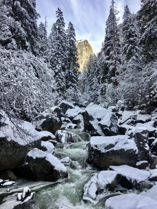 oneshotolive:  Yosemite in the Winter [OC][3024x4032] 📷: adventuringeyes 