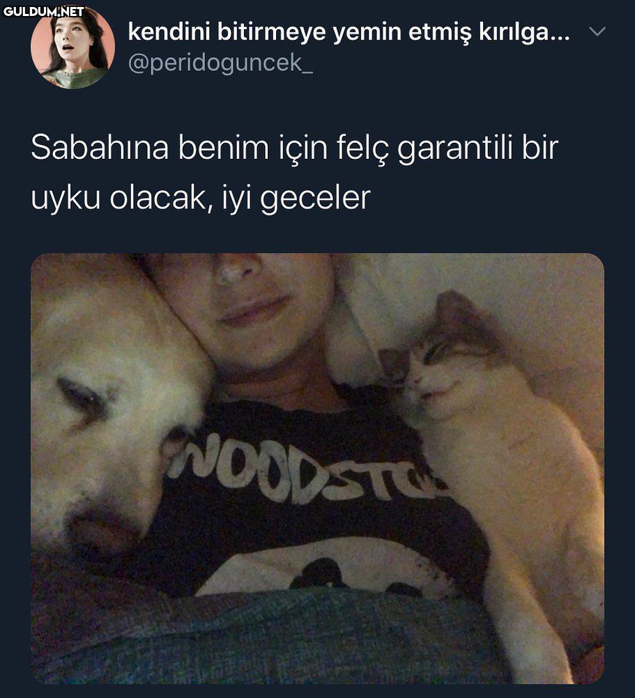 felci göze almaya hazırım...