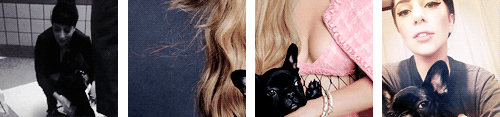 immadeofdreams:  Lady Gaga + Asia (to stoneharts) 