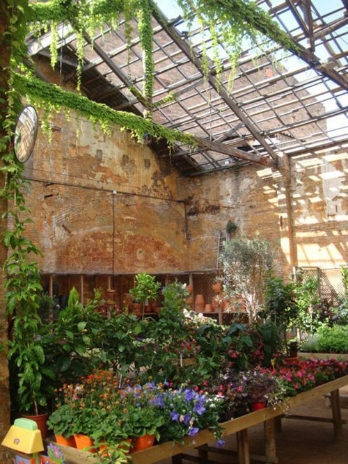 enochliew:  Hivernacle  A greenhouse and gardening services shop located in the neighborhood of Sants in Barcelona. 