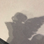 elivxd