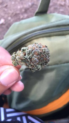Ourmellowvibes:  Idk The Strain Name But I’m In Love. 
