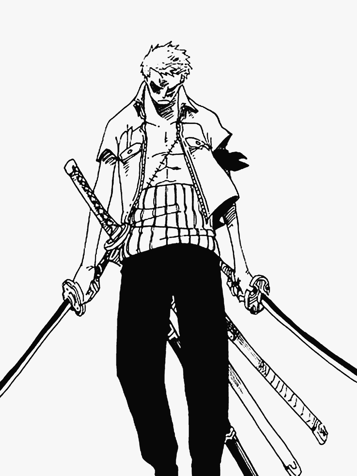 Zoro Understands Luffy Roronoa Zoro Throughout The Years Requested By