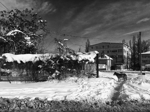 tanyaluca:Homeless Winter…