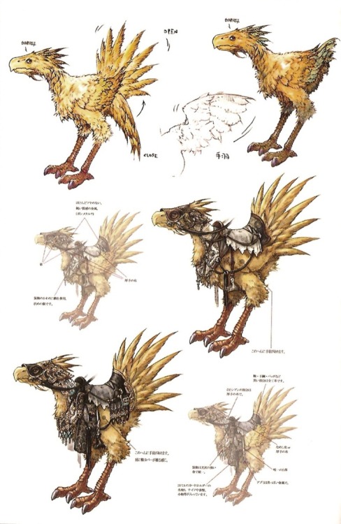 rippercase:  Chocobo Concept Art from Final Fantasy VII, Final Fantasy X, Final Fantasy XII, Final Fantasy XIII, and Final Fantasy XIV respectively.