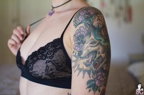 XXX past-her-eyes:  Amaryllis Hopeful amaryllis.suicidegirls.com photo