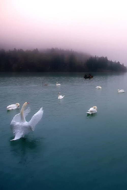 ponderation:Conductor by AlesNanut