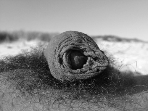 Foreskin Friday!