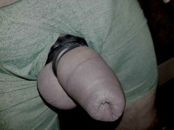 Thank you for your submission of your cock