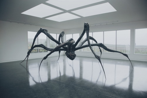 kobikiyama:  Crouching Spider / 2003  Louise Bourgeois