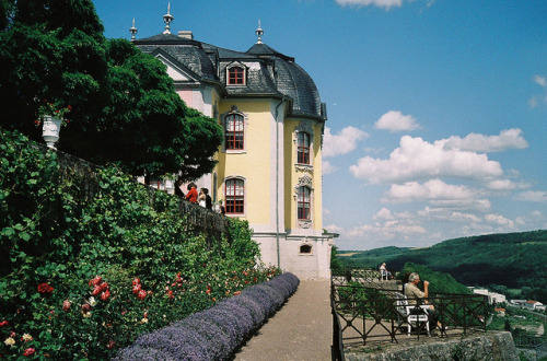 floralls:Dornburg, Germany (by zug55)