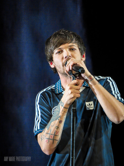 lthqs:Louis performing at Poptopia by Amy Marie