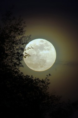 wavemotions:Super Moon by Shreenivasan Manievannan