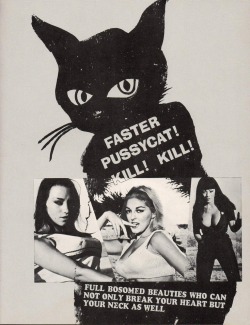 octobermoonlight:  Faster Pussycat, Kill!