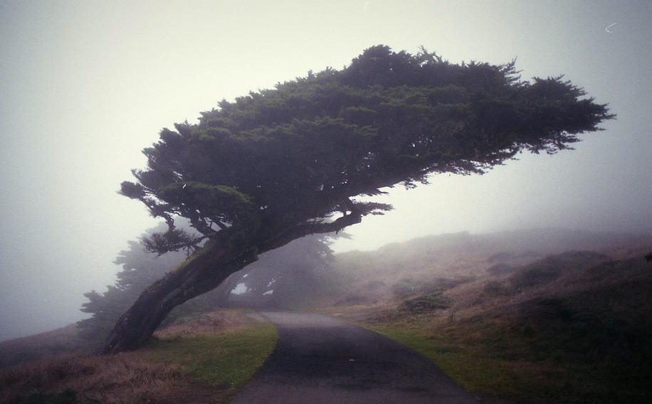 nikolawashere:  Austin Kamps