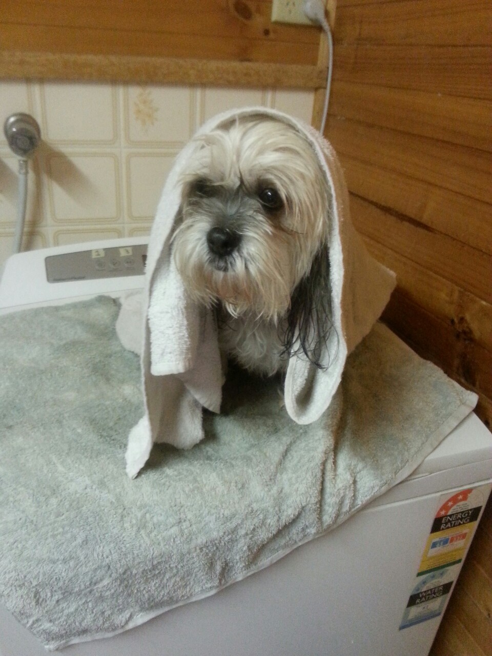 softbilbo:  Evolution of bath time 
