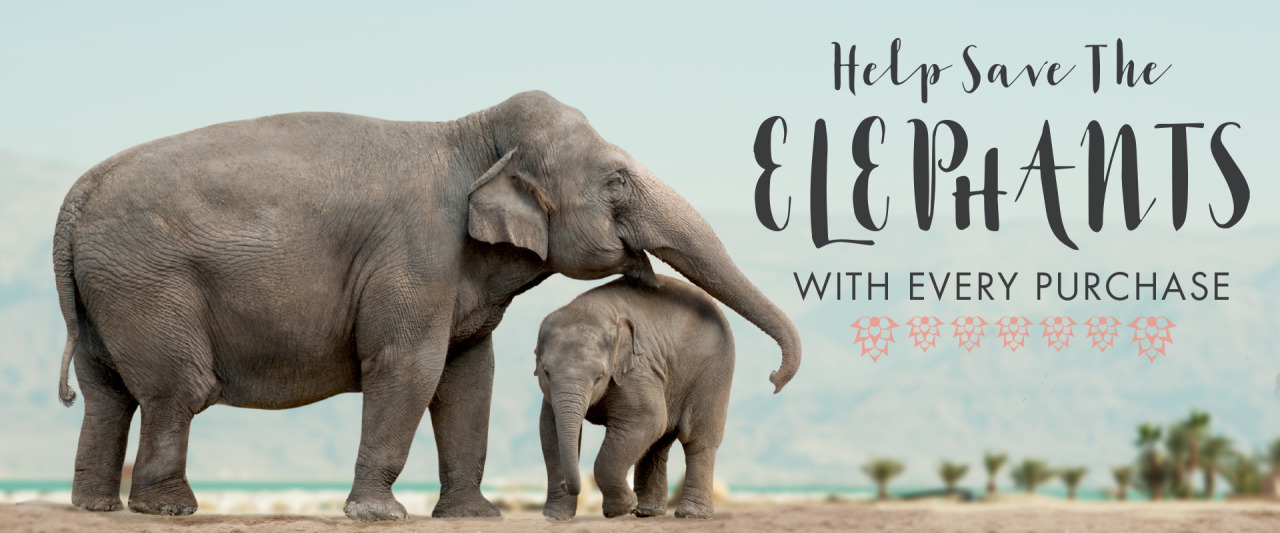 elephantwildlife:   Our new Stuffed Elephants are your favorite t-shirt prints made