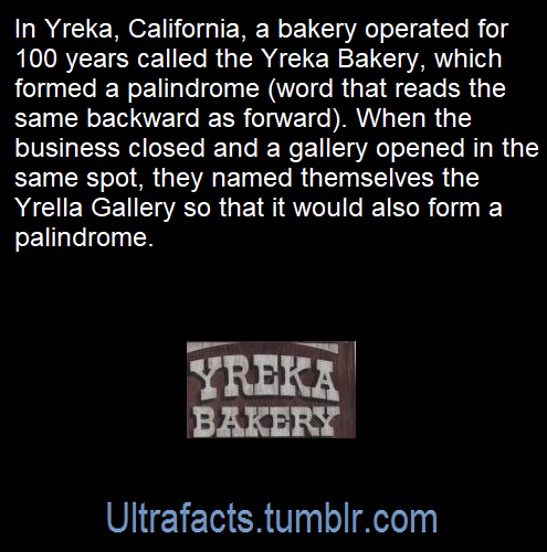 ultrafacts: Source [x] Follow @ultrafacts for more facts! 