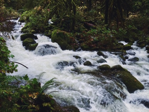 Horsetail Creek. Corbett, Oregon (October, 2016).