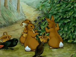 ofallingstar: The World of Peter Rabbit and