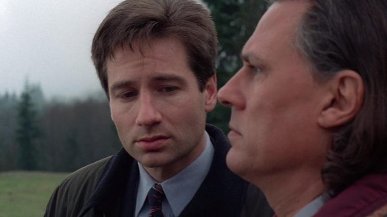 The signs as our favorite out-of-context x-files screen-caps.