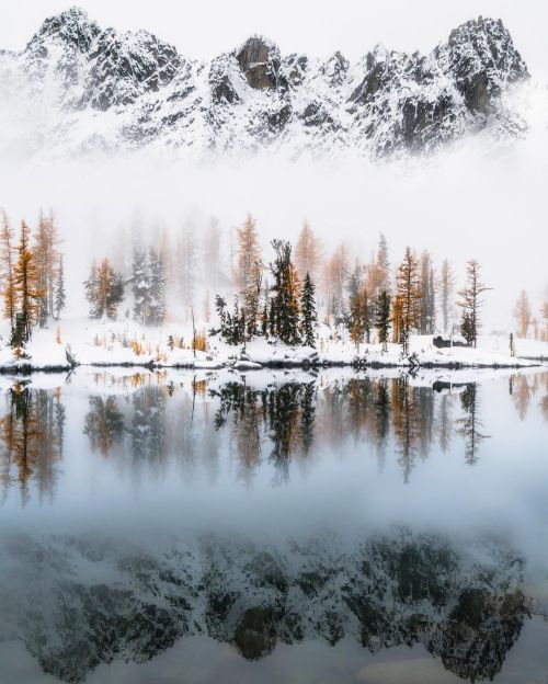 wistfullycountry:Scott Kranz | @scott_kranz