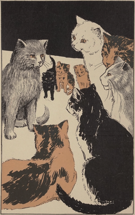 nemfrog:A cat meeting. Pussy-cat town. 1906.Internet Archive