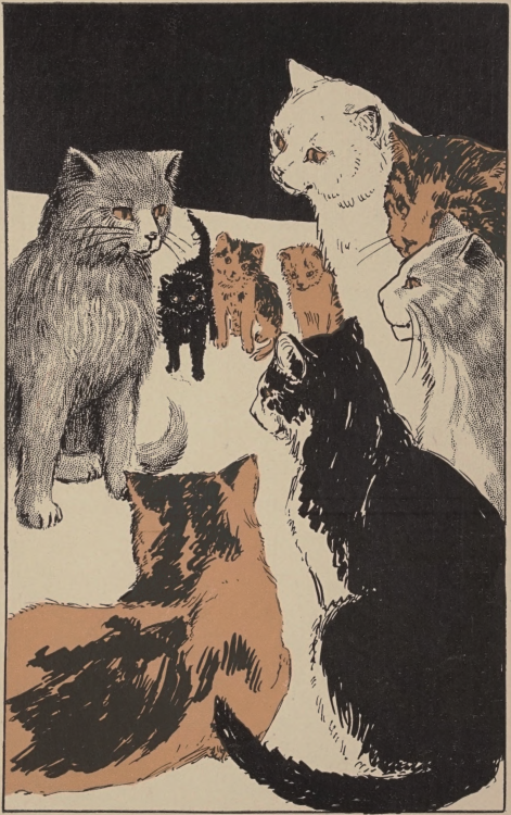 Nemfrog:a Cat Meeting. Pussy-Cat Town. 1906.Internet Archive