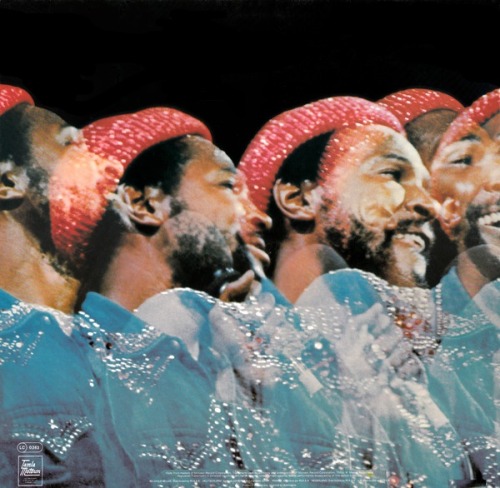 digiulio:  Marvin Gaye, 1974