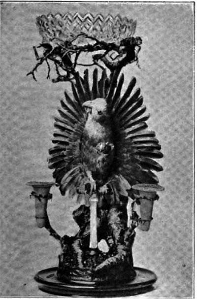 focsle:  Here have some more victorian taxidermy.Via the 1896 issue of The Strand Magazine 