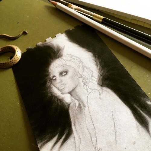 Harpy on the drawing board, for an upcoming @changelingartist event! I’m taking WIP pics for m